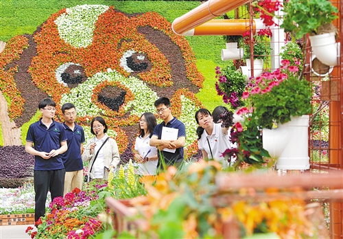 世園會(huì)倒計(jì)時(shí)一周年 北京花木春季花展開(kāi)幕