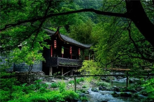 湖南一被人遺忘的國(guó)家級(jí)森林公園