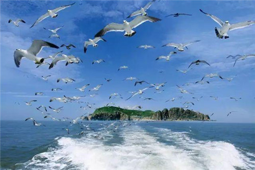 六月，青島人免費(fèi)的五大城市景點(diǎn)