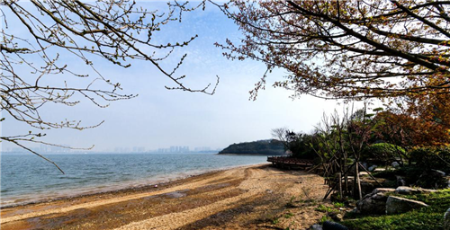 園冶杯專業(yè)獎(jiǎng)：岳陽南湖龍山景區(qū)園林綠化景觀EPC項(xiàng)目