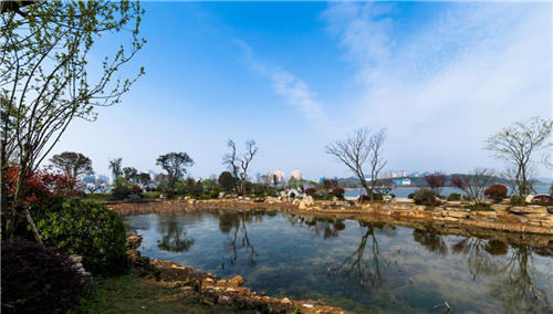 園冶杯專業(yè)獎(jiǎng)：岳陽南湖龍山景區(qū)園林綠化景觀EPC項(xiàng)目