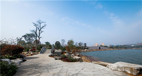 園冶杯專業(yè)獎(jiǎng)：岳陽南湖龍山景區(qū)園林綠化景觀EPC項(xiàng)目