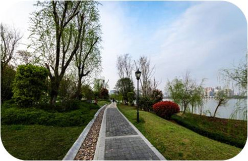 園冶杯專業(yè)獎(jiǎng)：岳陽南湖龍山景區(qū)園林綠化景觀EPC項(xiàng)目