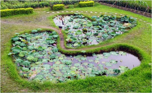 園冶杯專業(yè)獎(jiǎng)：岳陽南湖龍山景區(qū)園林綠化景觀EPC項(xiàng)目