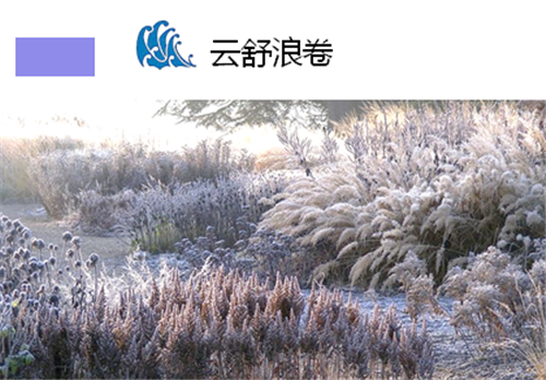 河北省第二屆園博會(huì)花境創(chuàng)意作品——花漫“水圖”卷