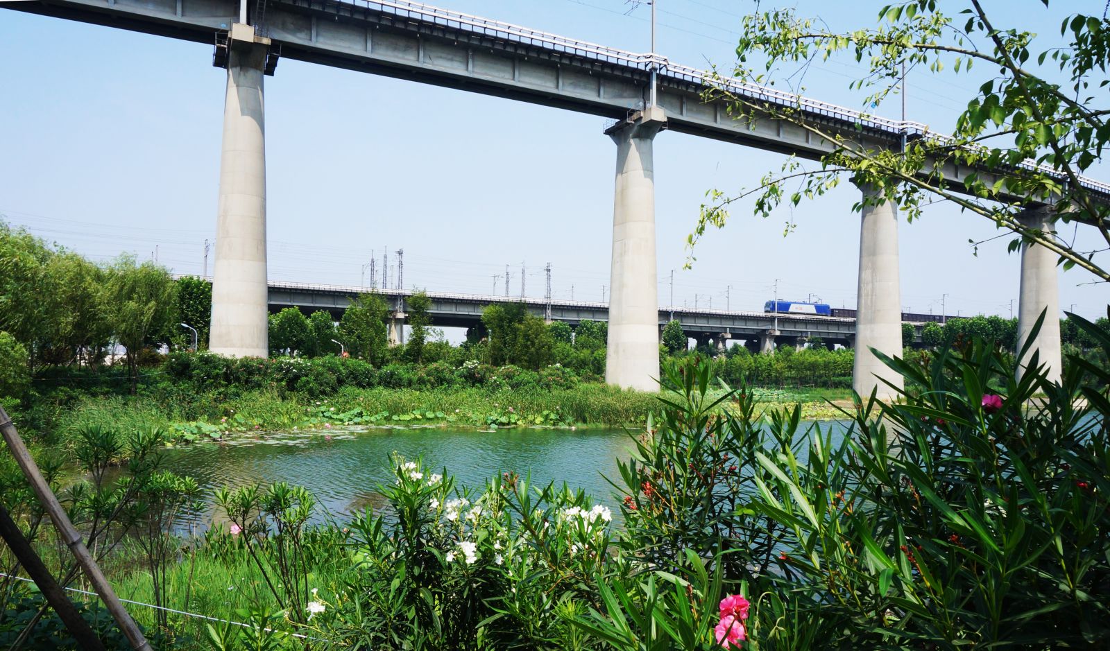 園冶杯專業(yè)獎(jiǎng)：戴家湖公園生態(tài)修復(fù)工程