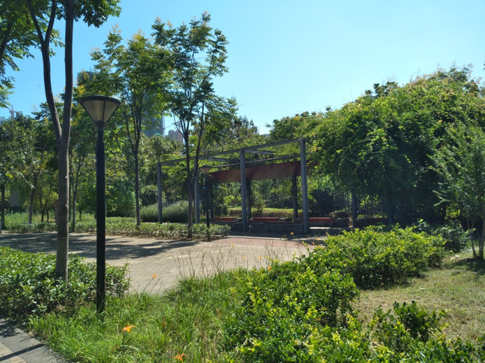 園冶杯專業(yè)獎(jiǎng)：戴家湖公園生態(tài)修復(fù)工程