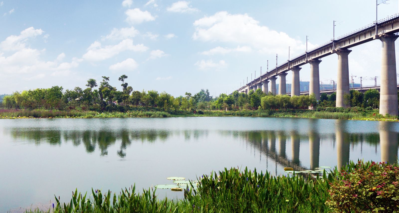 園冶杯專業(yè)獎(jiǎng)：戴家湖公園生態(tài)修復(fù)工程