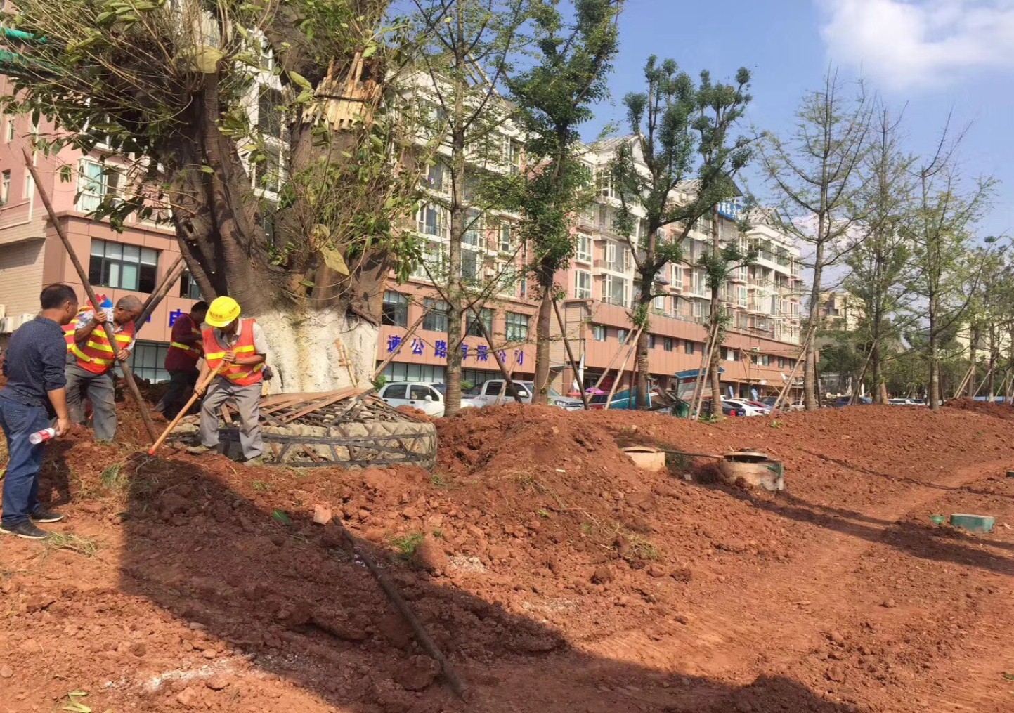 園冶杯專業(yè)獎：資陽市嬌子大道綜合整治建設(shè)工程-節(jié)點景觀提升