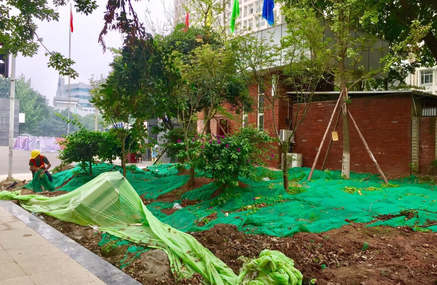園冶杯專業(yè)獎：資陽市嬌子大道綜合整治建設(shè)工程-節(jié)點景觀提升