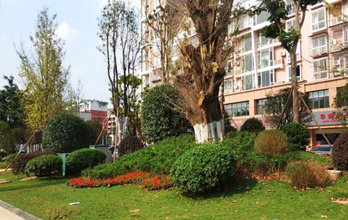 園冶杯專業(yè)獎：資陽市嬌子大道綜合整治建設(shè)工程-節(jié)點景觀提升