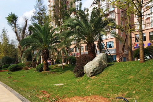 園冶杯專業(yè)獎：資陽市嬌子大道綜合整治建設(shè)工程-節(jié)點景觀提升