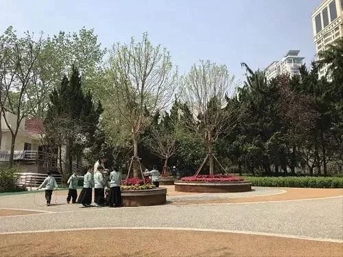 園冶杯專(zhuān)業(yè)獎(jiǎng)：青島市普寧路游園景觀工程