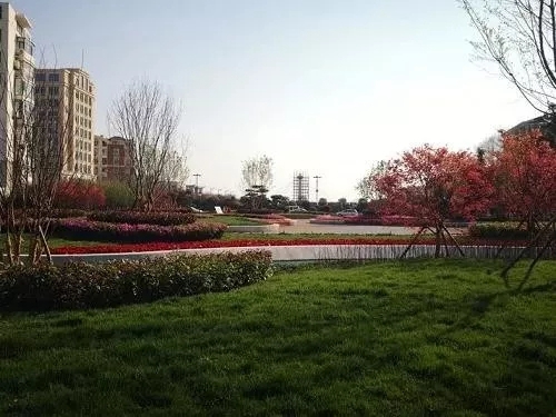 園冶杯專(zhuān)業(yè)獎(jiǎng)：青島市普寧路游園景觀工程