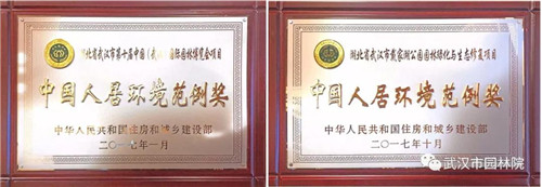 武漢園林設計院2019崗位已備好，“職”等你來選