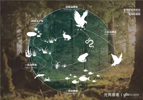蜀國(guó)新天府，秀色看簡(jiǎn)州——成都龍升公園
