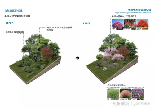 蜀國(guó)新天府，秀色看簡(jiǎn)州——成都龍升公園