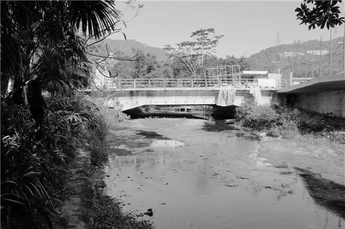 文科園林丨深圳大梅沙河景觀改造設(shè)計