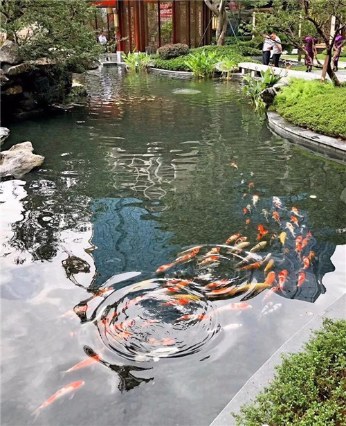 高宅大園　國(guó)風(fēng)賦新丨深圳泰禾金尊府