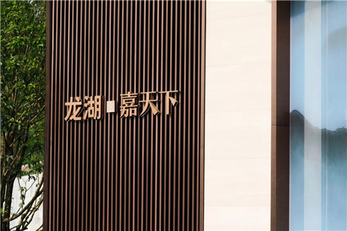 2019園冶杯專業(yè)獎丨重慶龍湖·嘉天下