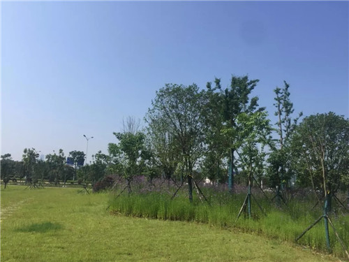2019園冶杯專業(yè)獎(jiǎng)丨長(zhǎng)沙市望城區(qū)“一路一園”建設(shè)工程項(xiàng)目銀星灣公園
