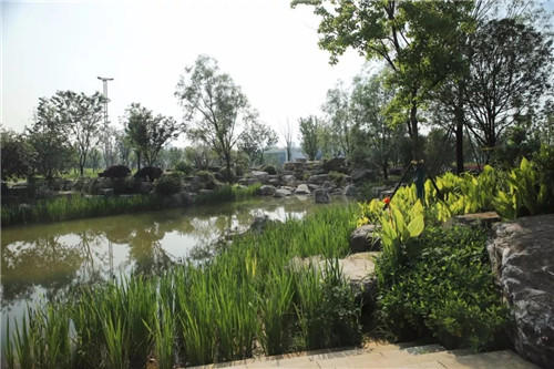 2019園冶杯專業(yè)獎(jiǎng)丨長(zhǎng)沙市望城區(qū)“一路一園”建設(shè)工程項(xiàng)目銀星灣公園