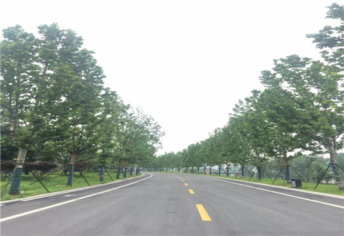 2019園冶杯專業(yè)獎(jiǎng)丨長(zhǎng)沙市望城區(qū)“一路一園”建設(shè)工程項(xiàng)目銀星灣公園