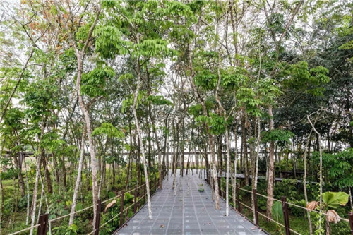 2019園冶杯專業(yè)獎(jiǎng)丨馬來西亞萬(wàn)茂 Iringan Bayu