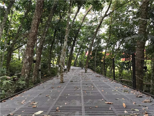2019園冶杯專業(yè)獎(jiǎng)丨馬來西亞萬(wàn)茂 Iringan Bayu