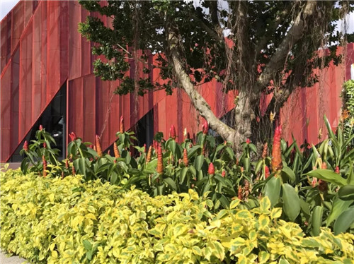 2019園冶杯專業(yè)獎(jiǎng)丨馬來西亞萬(wàn)茂 Iringan Bayu