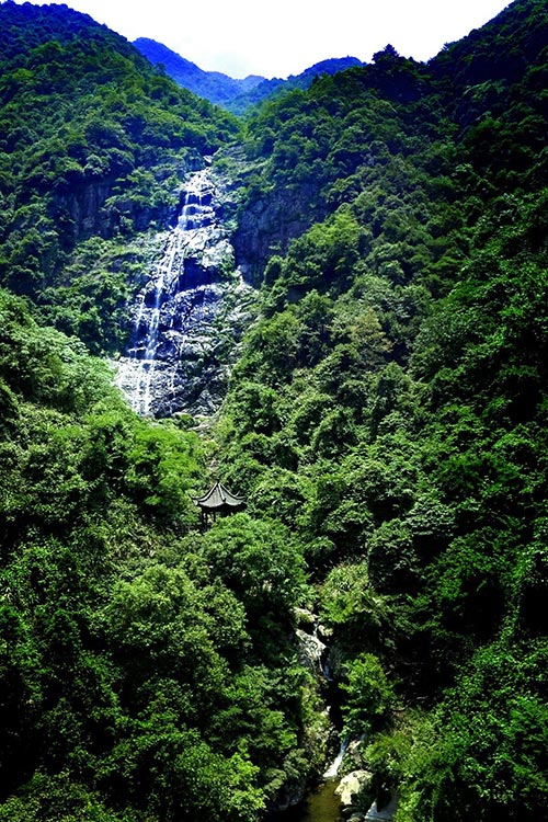 2019年園冶杯專業(yè)獎|廬山桃花源景區(qū)工程
