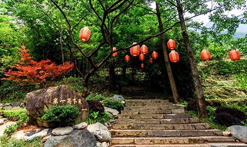 2019年園冶杯專業(yè)獎|廬山桃花源景區(qū)工程