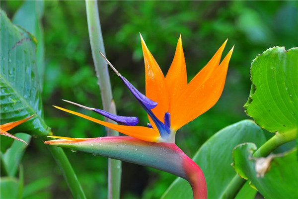 口袋公園雖小,卻能顯出設(shè)計的大智慧