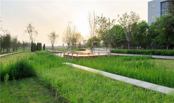 阿普貝斯丨遷安海綿城市建設(shè)成果