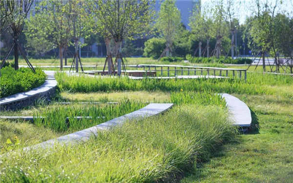 阿普貝斯丨遷安海綿城市建設(shè)成果