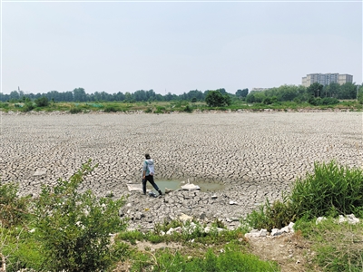 北京城六區(qū)最后一片荒野該如何保護?