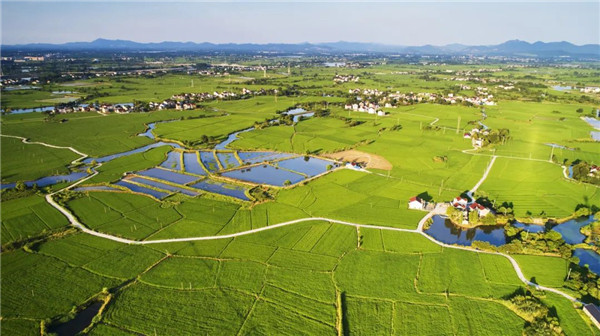 段進院士：關于《國土空間規劃城市設計指南》編制工作的幾點思考