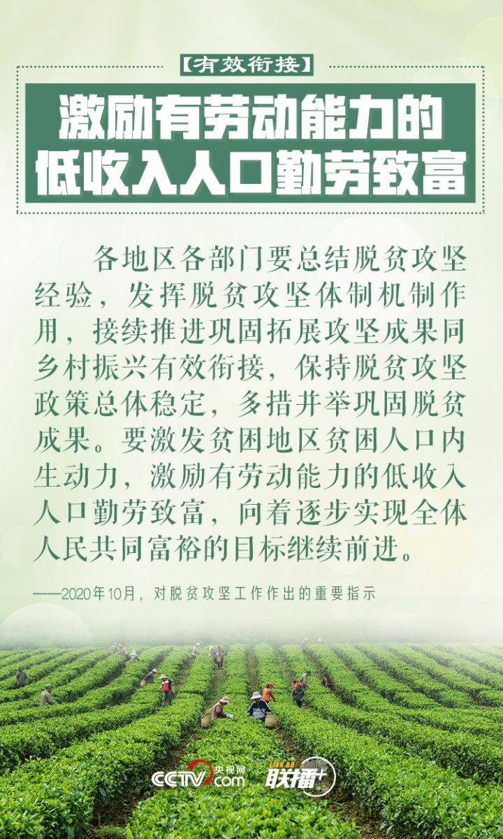 鄉村振興 習近平反復強調這四個字