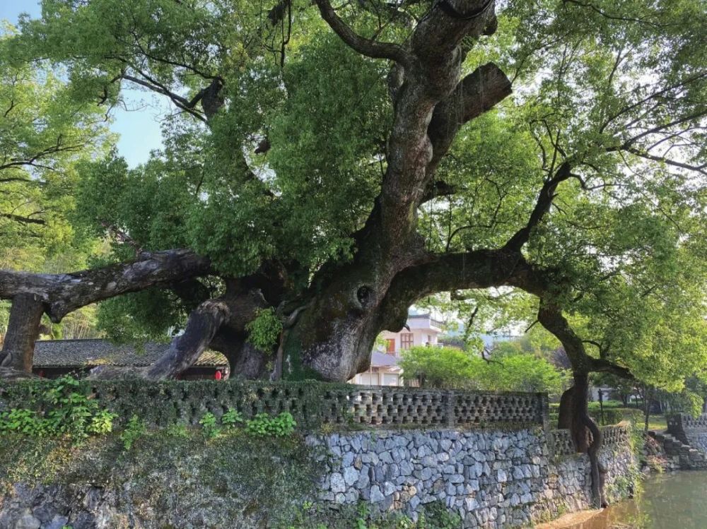 俞孔堅:欲望與景觀