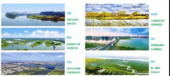 鮑達明：加強濕地保護，促進綠色發展