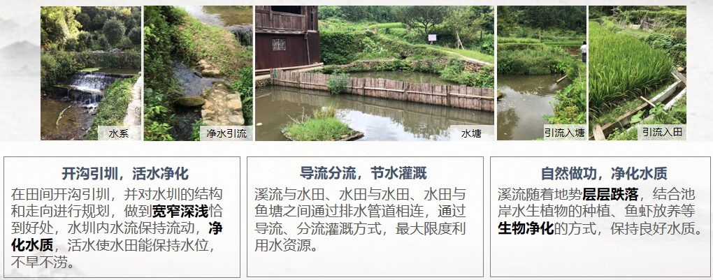 胡希軍:中國傳統(tǒng)村落生產(chǎn)智慧,從文化自信到文化輸出