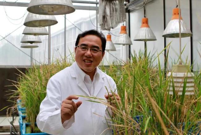 陳劍平院士解讀 《鄉(xiāng)村振興促進(jìn)法》