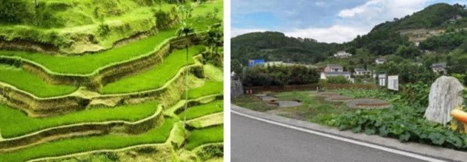 董莉莉:設(shè)計(jì)介入鄉(xiāng)村多維路徑探索