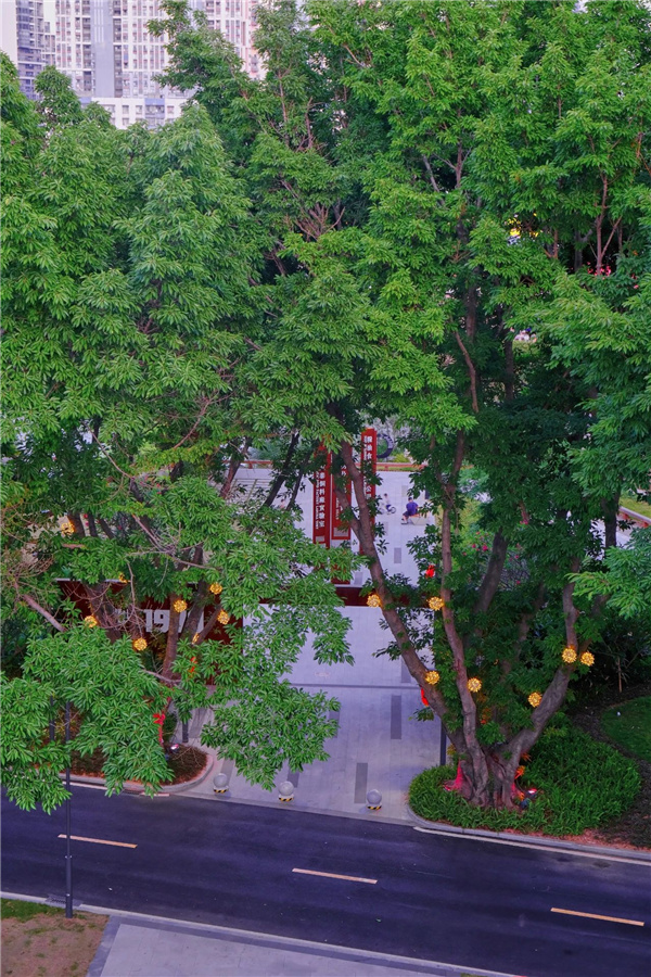 嶺南設計丨東莞鰜魚洲文化創(chuàng)意產(chǎn)業(yè)園