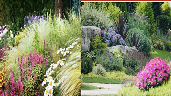 虞金龍:人 城市 花園的和鳴