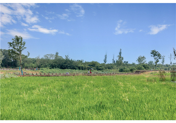 蜀山鄉(xiāng)村振興示范區(qū)元塘、大嶺南及小嶺南村民組人居環(huán)境綜合整治項目