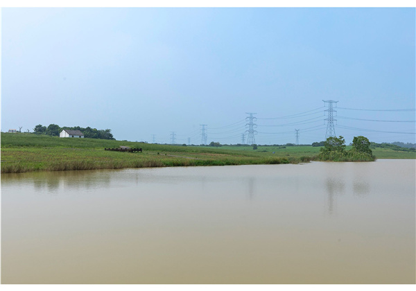 蜀山鄉(xiāng)村振興示范區(qū)元塘、大嶺南及小嶺南村民組人居環(huán)境綜合整治項目