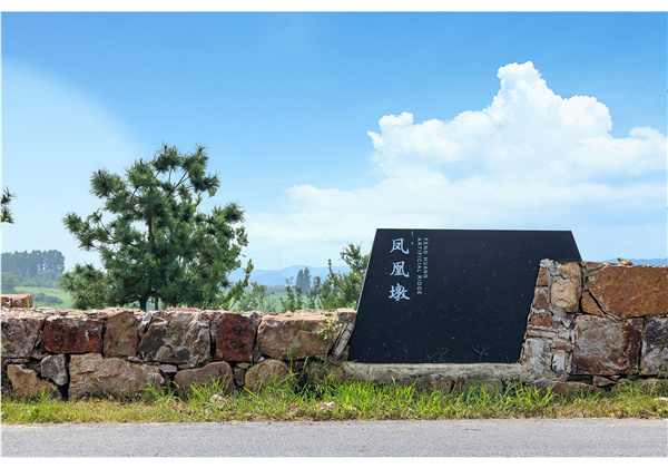 蜀山鄉(xiāng)村振興示范區(qū)元塘、大嶺南及小嶺南村民組人居環(huán)境綜合整治項目