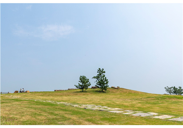 蜀山鄉(xiāng)村振興示范區(qū)元塘、大嶺南及小嶺南村民組人居環(huán)境綜合整治項目