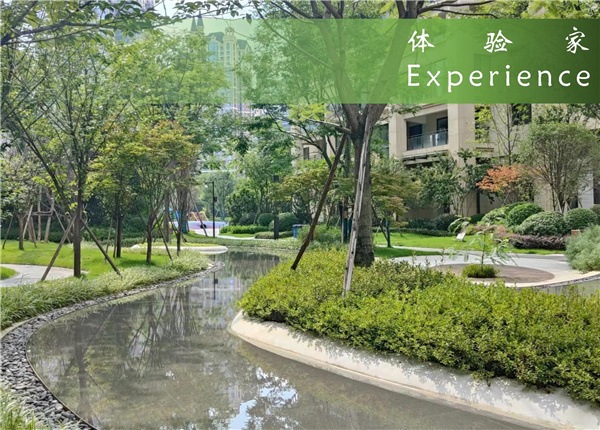 園冶杯獲獎(jiǎng)作品丨中建天府公館